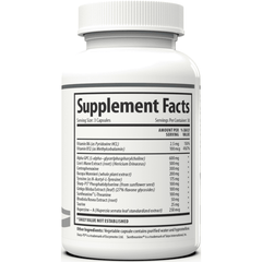 Boost mental clarity and focus – 1 Body Brain Support with Rhodiola Rosea, 90 capsules.