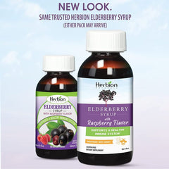 Herbion Naturals Elderberry Syrup 4 Oz Raspberry Flavor Immune Support