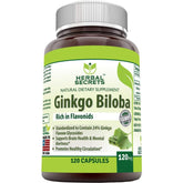 Herbal Secrets Ginkgo Biloba 120 mg – non-GMO, gluten-free, vegan-friendly supplement made in the USA