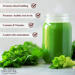 "Herbal liquid iron for energy and red blood cell support – Buried Treasure bottle front"