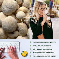 GMP certified and vegan Lion’s Mane supplement made in the USA