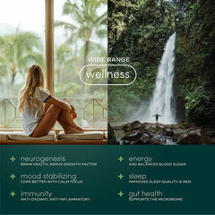 Front label of Moksha Focus Lion’s Mane showing mental clarity benefits