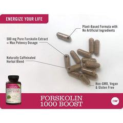 "NatureWise Forskolin 1000 bottle – Supports fat loss and helps activate fat-burning enzymes."