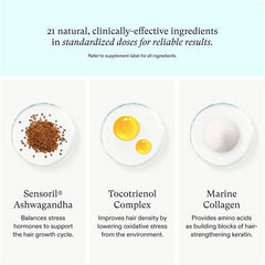 "NatureWise Forskolin – Vegan-friendly dietary supplement for boosting metabolism and supporting fat loss."