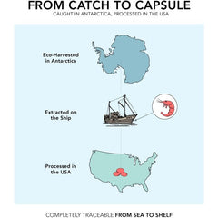 "Front label of SR Antarctic Krill Oil – sustainably sourced omega-3 supplement with no fishy aftertaste"