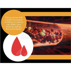 Clinical Daily Blood Circulation Horse Chestnut Herbal Support 90 Caps