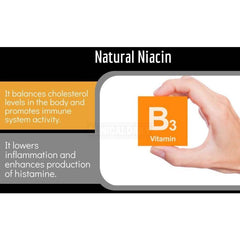 Clinical Daily Blood Circulation Horse Chestnut Herbal Support 90 Caps