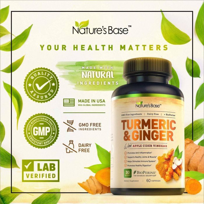 Turmeric Ginger Apple Cider Vinegar Gmo Free Supplement Nature's Base