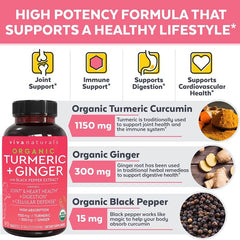 Viva Naturals Organic Turmeric Ginger Digestion Support 90 Caps