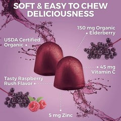 Front label of Viva Naturals Elderberry – USDA Organic, Vegan, Non-GMO seal
