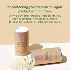 Vegan collagen superfood powder scoop in a smoothie