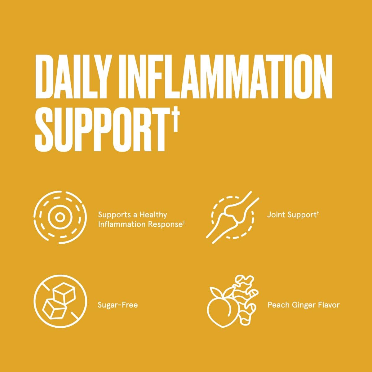 Bulletproof turmeric gummies for active lifestyle and everyday wellness support
