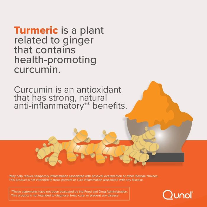 Qunol Turmeric Curcumin Complex 1000mg High Absorption 120 Caps