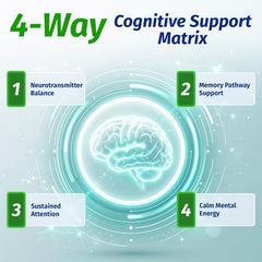 1 Body vegan brain support capsules for cognitive performance and concentration