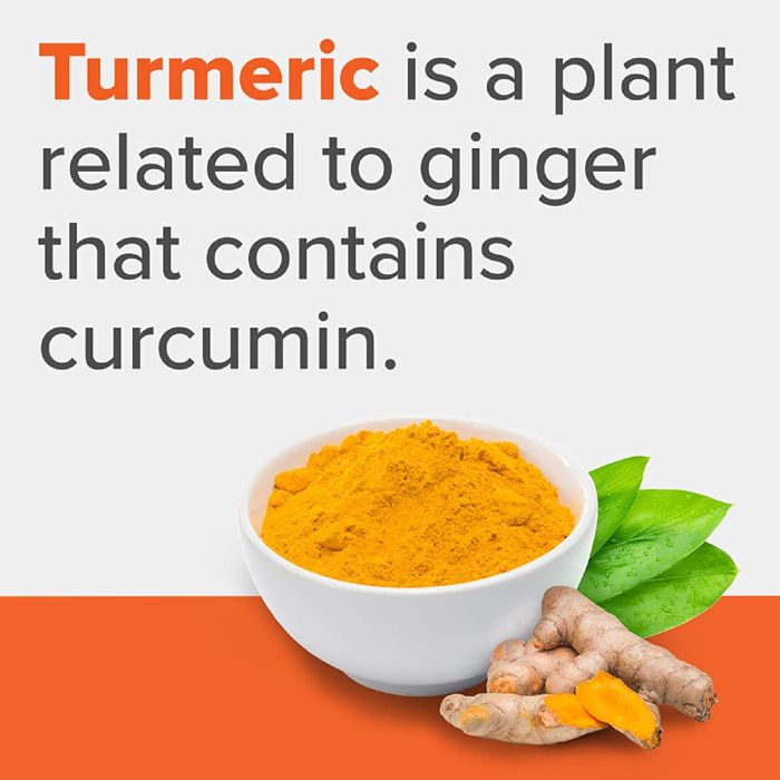 Qunol Turmeric Curcumin Complex 1000mg High Absorption 120 Caps