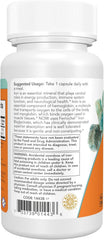 NOW Iron 18 mg supplement facts label with Ferrochel gentle non-constipating iron