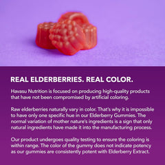 Plant based pectin elderberry gummies for daily wellness and immune health support