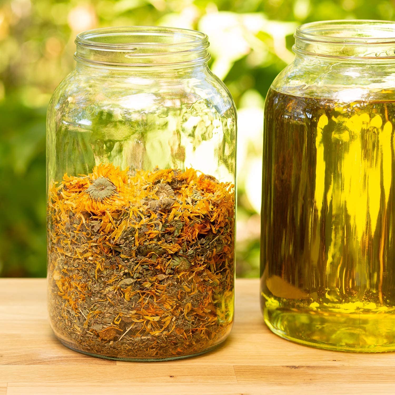 Unscented coconut-free Calendula Salve for irritated-looking skin
