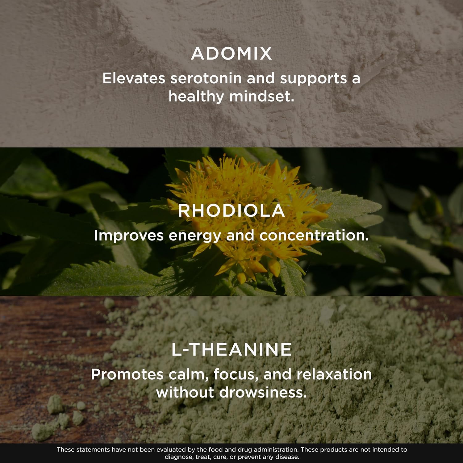 Genius Joy nootropic capsules with SAM-e Panax Ginseng and L-Theanine formula