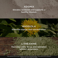 Genius Joy nootropic capsules with SAM-e Panax Ginseng and L-Theanine formula