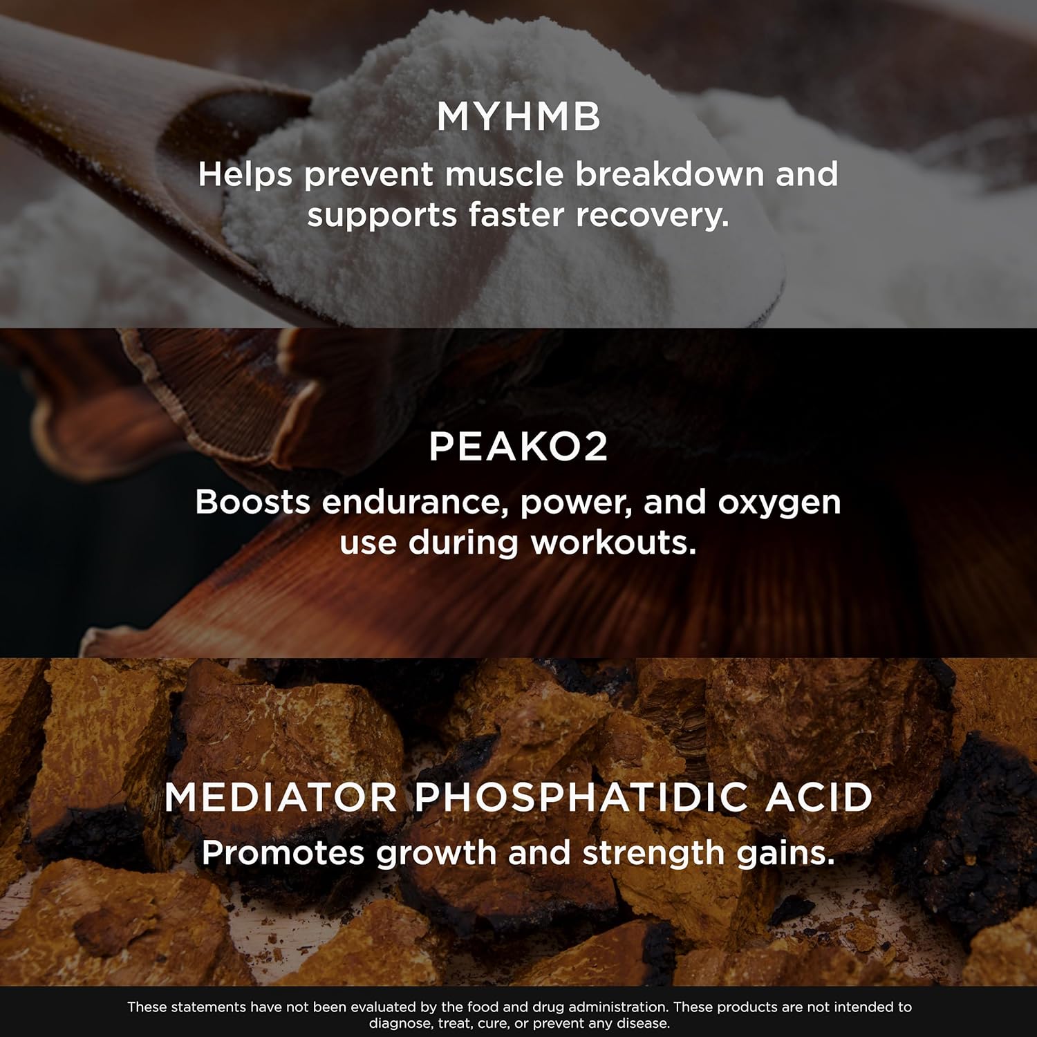 Non-hormonal muscle support supplement with organic mushroom blend by Genius Brand