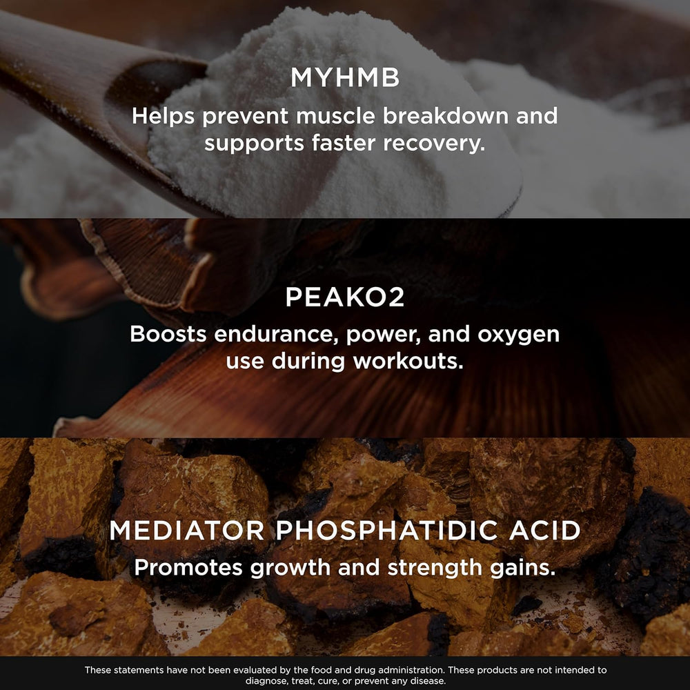 Non-hormonal muscle support supplement with organic mushroom blend by Genius Brand