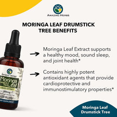 "Dropper of Maca Extract showing brown liquid – natural energy and hormone support"
