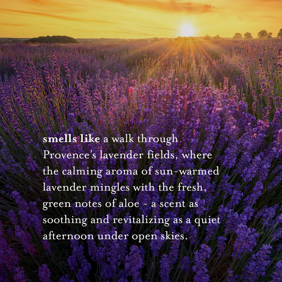 A La Maison lavender scented moisturizing soap bar for daily cleansing
