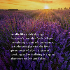 A La Maison lavender soap multipack for gentle daily hand and body cleansing