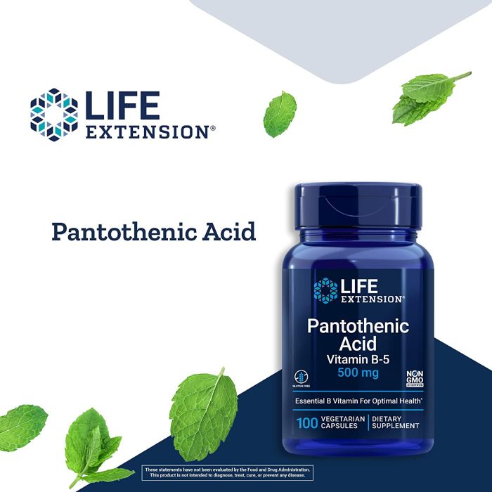 Life Extension Pantothenic Acid Vitamin B5 500mg 100 Vegetarian Caps