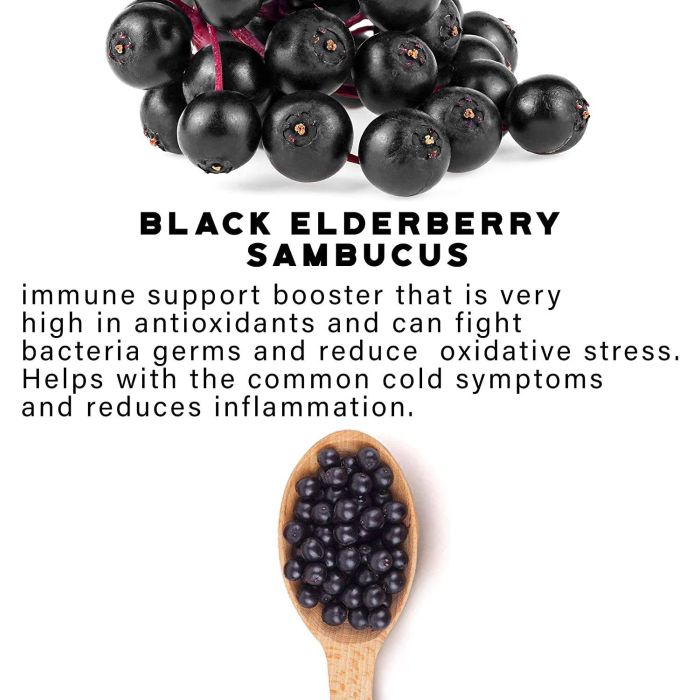 Flat lay of Addot Welllife Gummies bottle with sliced elderberries and hemp leaves