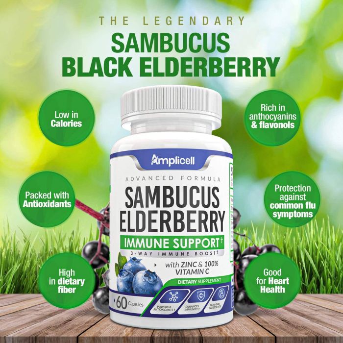 Natural elderberry capsules for daily immune system support