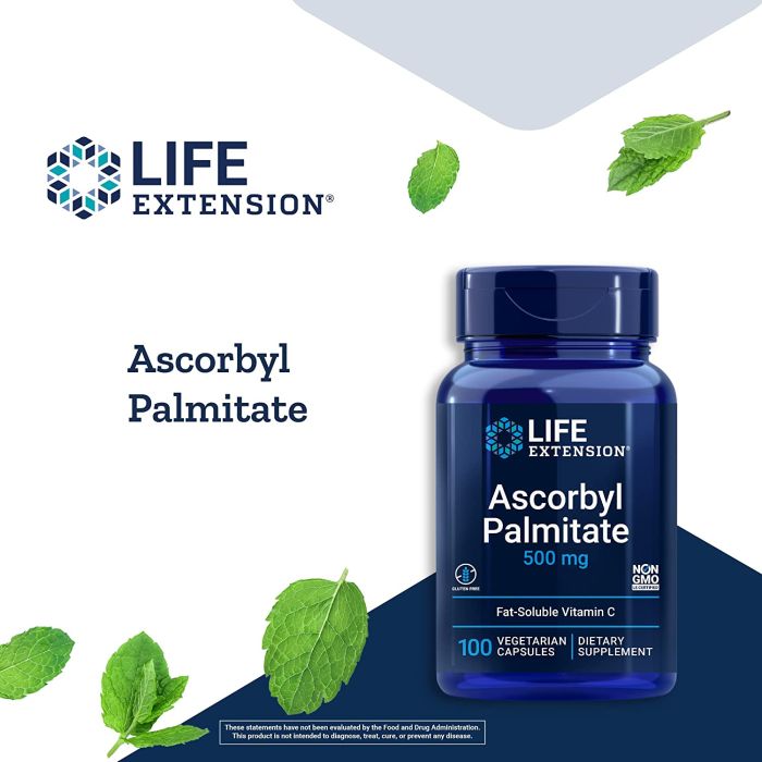 Life Extension Ascorbyl Palmitate 500mg Fat Soluble Vitamin C 100 Caps
