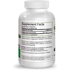 Ginkgo Biloba brain function support supplement – made in the USA