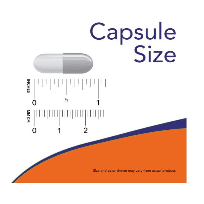 "NOW Cat's Claw 500mg bottle – herbal support supplement, 100 veggie capsules"