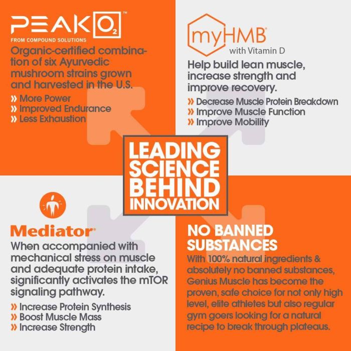 Genius Muscle Health Powder – Fuel your workout with creatine and electrolytes, 180 servings.