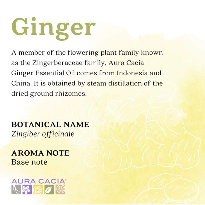 “Natural ginger oil for massage, stress relief, and grounding blends – cruelty-free”