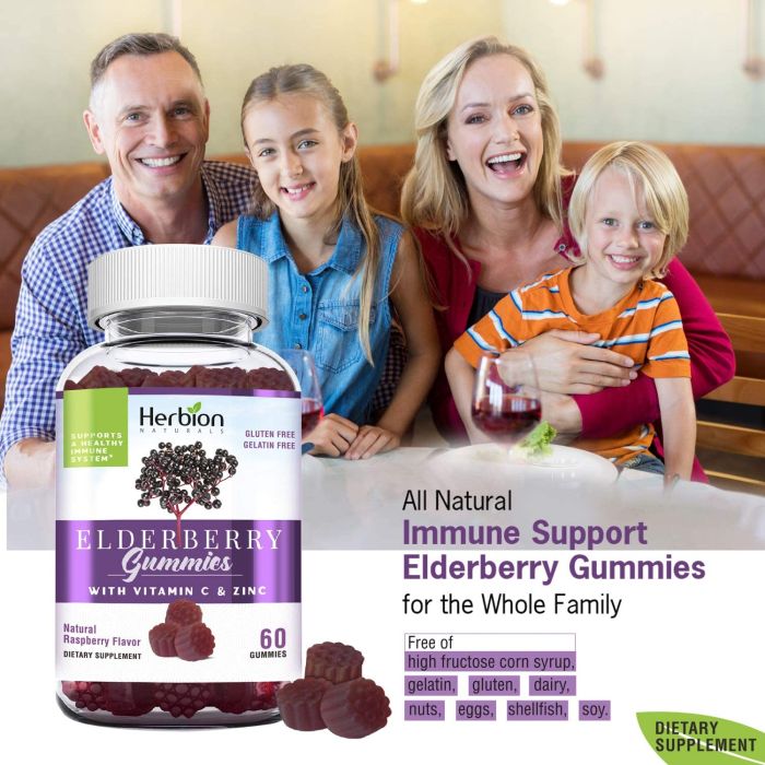 Herbion Naturals Elderberry Gummies bottle – 60 count with vitamin C and zinc for immune support