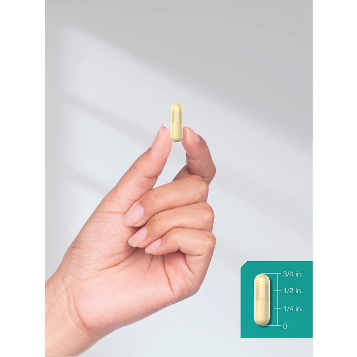 Back label of Horbaach Multi Collagen Protein showing usage instructions and certifications