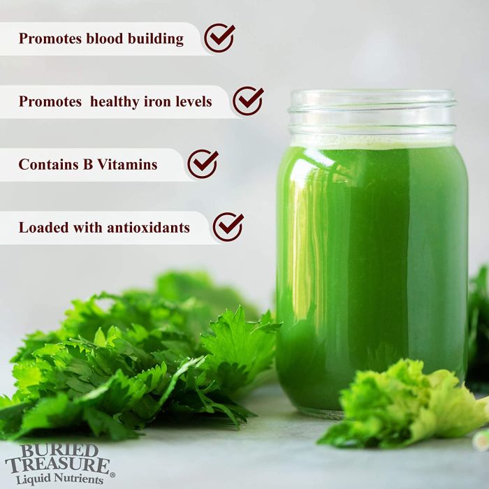 "Herbal liquid iron for energy and red blood cell support – Buried Treasure bottle front"