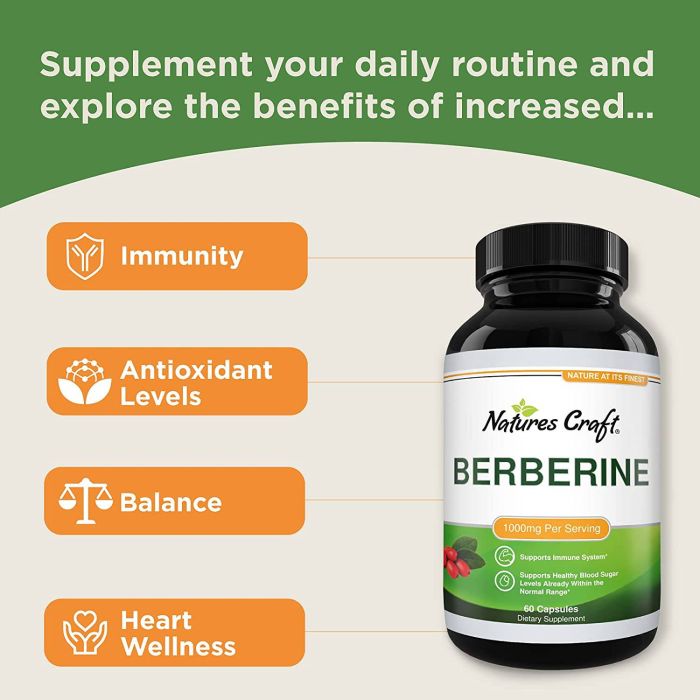 Berberine supplement facts label – 1200 mg dosage per capsule