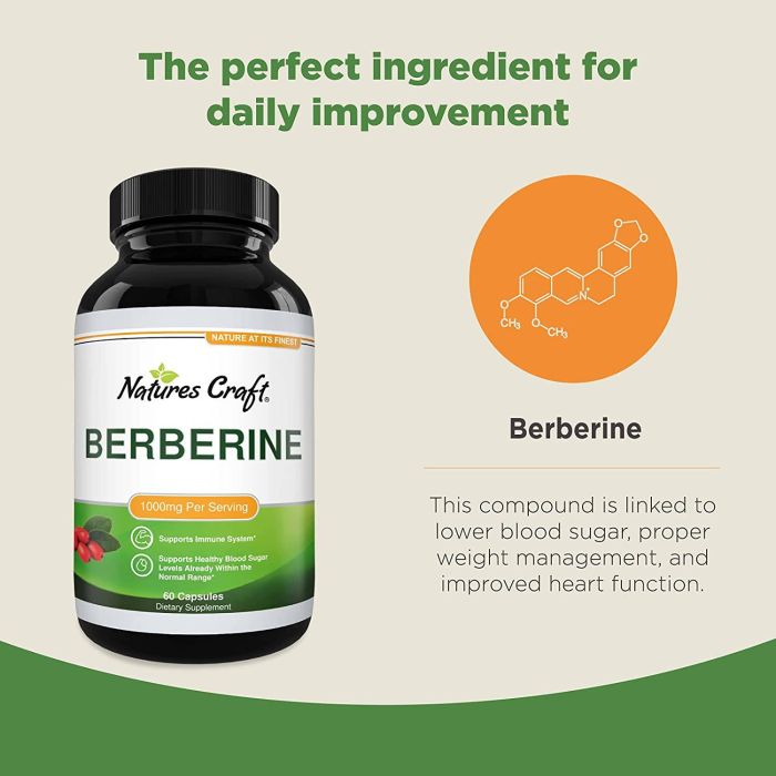 Nature’s Craft Berberine 60 Capsules bottle – immune and metabolic support