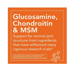 "NOW Chondroitin Sulfate 600mg Joint Health Supplement – supports cartilage health and joint flexibility"