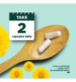 "Phytoral supplement bottle with Milk Thistle and Dandelion Root for liver cleanse"