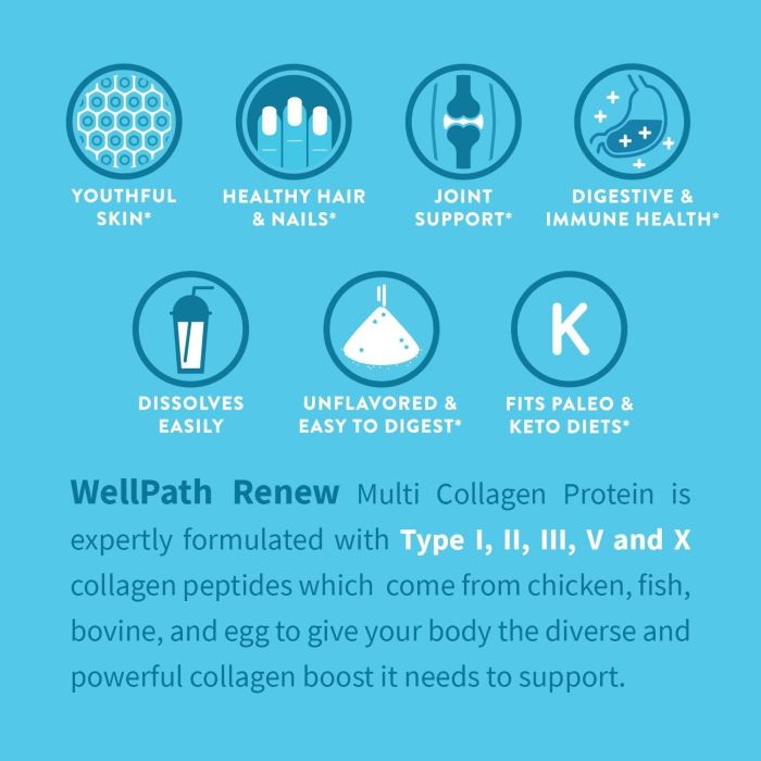 WellPath Renew Multi Collagen Protein Powder 11 Oz