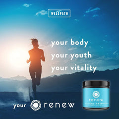 WellPath Renew Multi Collagen Protein Powder 11 Oz