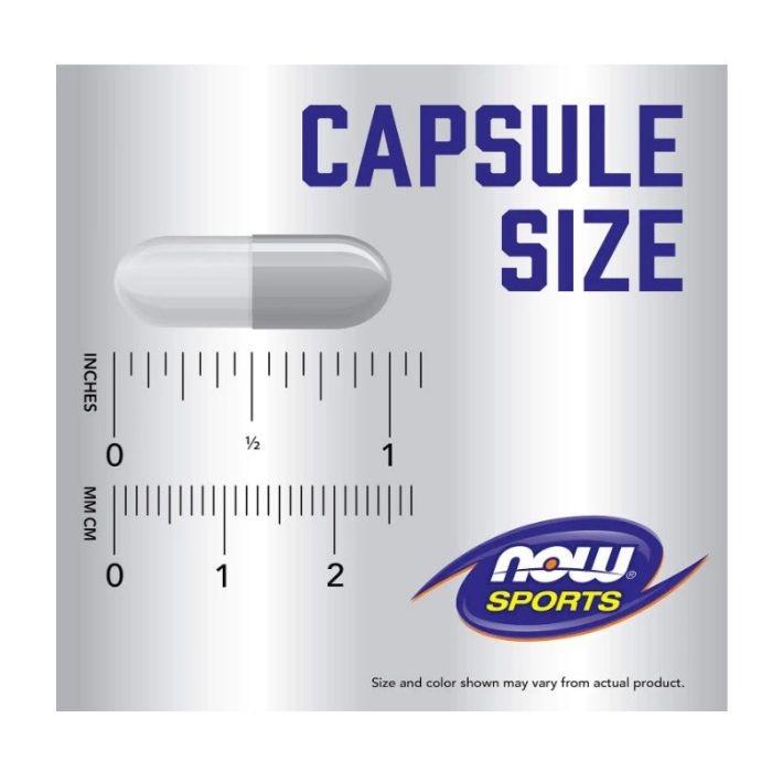 Now Sports Branched Chain Amino Acids Recovery Supplement 240 Veg Caps