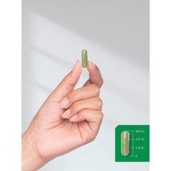 Horbaach Saw Palmetto Extract 3600mg 120 Gluten Free Capsules