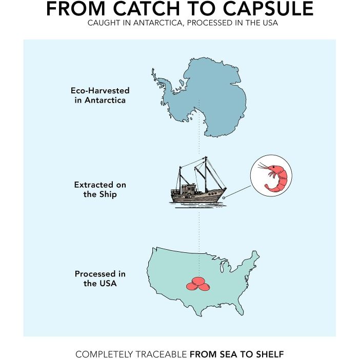 "Front label of SR Antarctic Krill Oil – sustainably sourced omega-3 supplement with no fishy aftertaste"