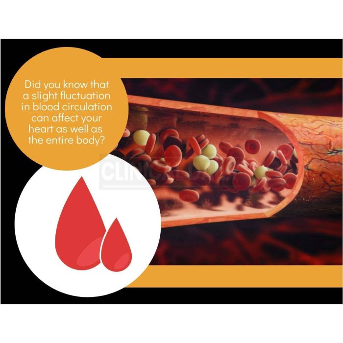 Clinical Daily Blood Circulation Horse Chestnut Herbal Support 90 Caps